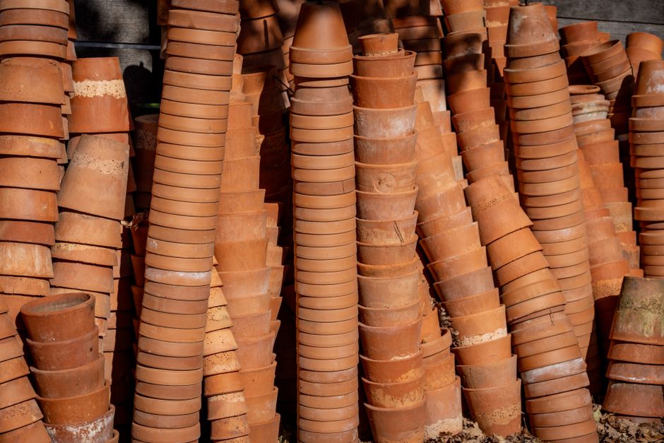Container gardening basics