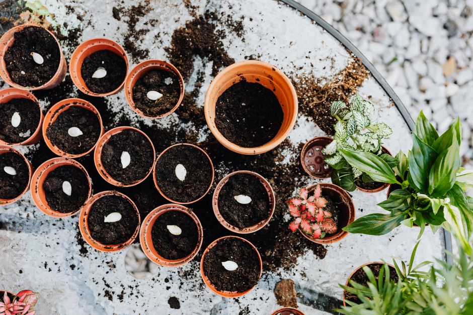 Plan Before You Plant
