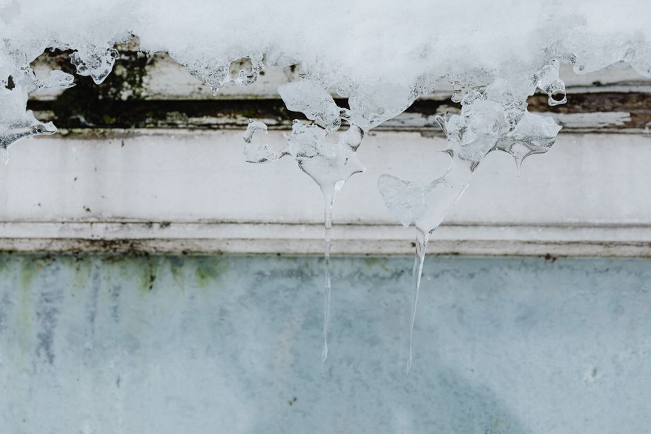Dairy That Survives Freezing