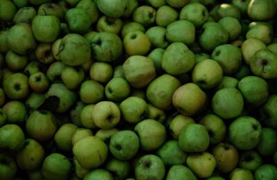 How Many Fruitlets to Leave on Apple Clusters