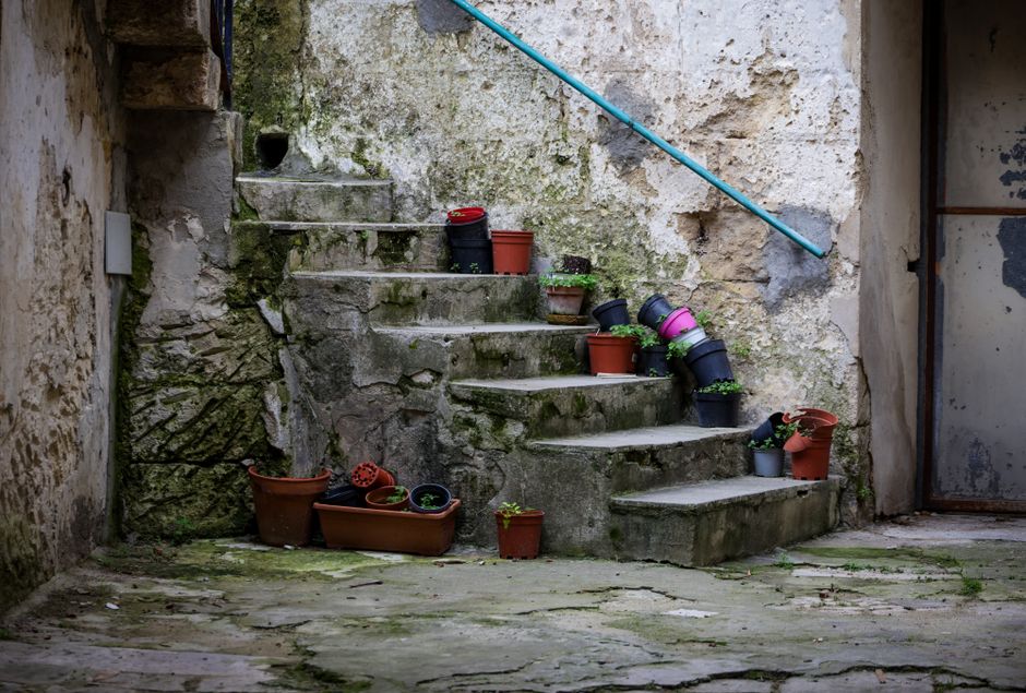 Build and planting steps