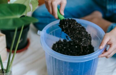 How to Fertilize Containers on a Two-Week Schedule