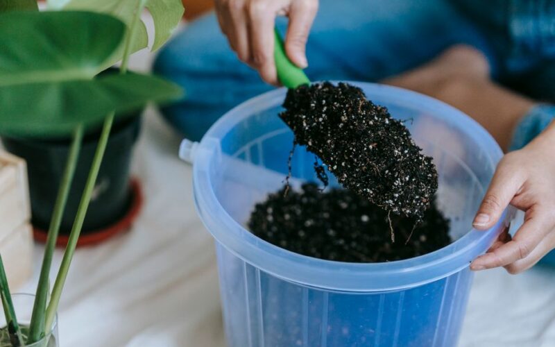 How to Fertilize Containers on a Two-Week Schedule