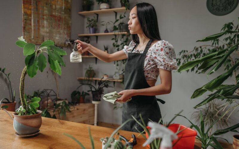 Potting, Planting, and Watering