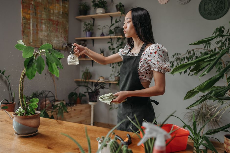 Potting, Planting, and Watering