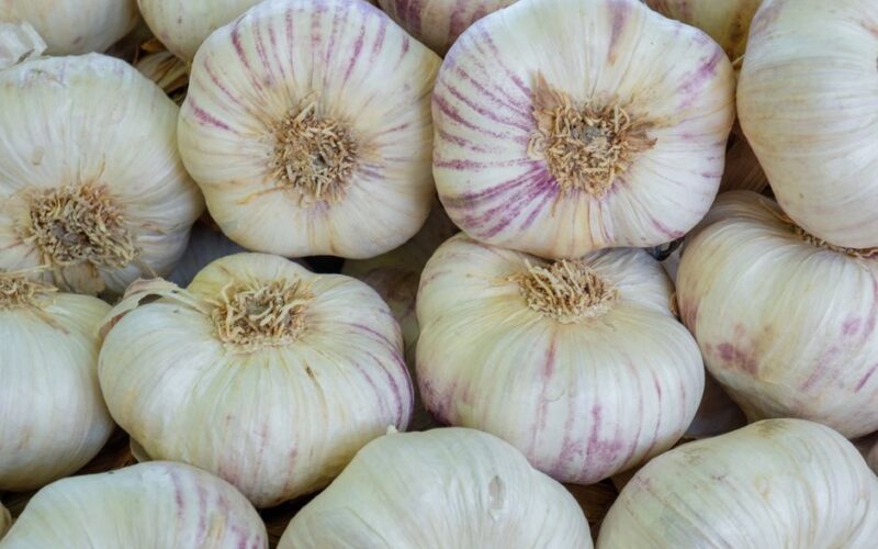 How to Plant Garlic for Bigger Summer Bulbs