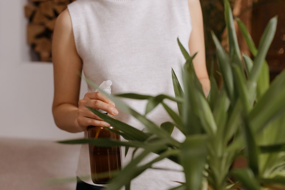 How to Water Indoor Plants by the Finger Test and Schedule