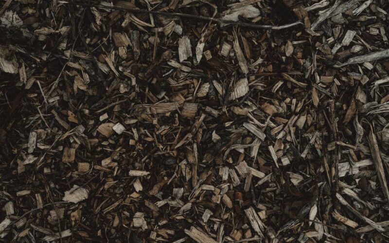 Mulching: Suppressing Weeds Naturally