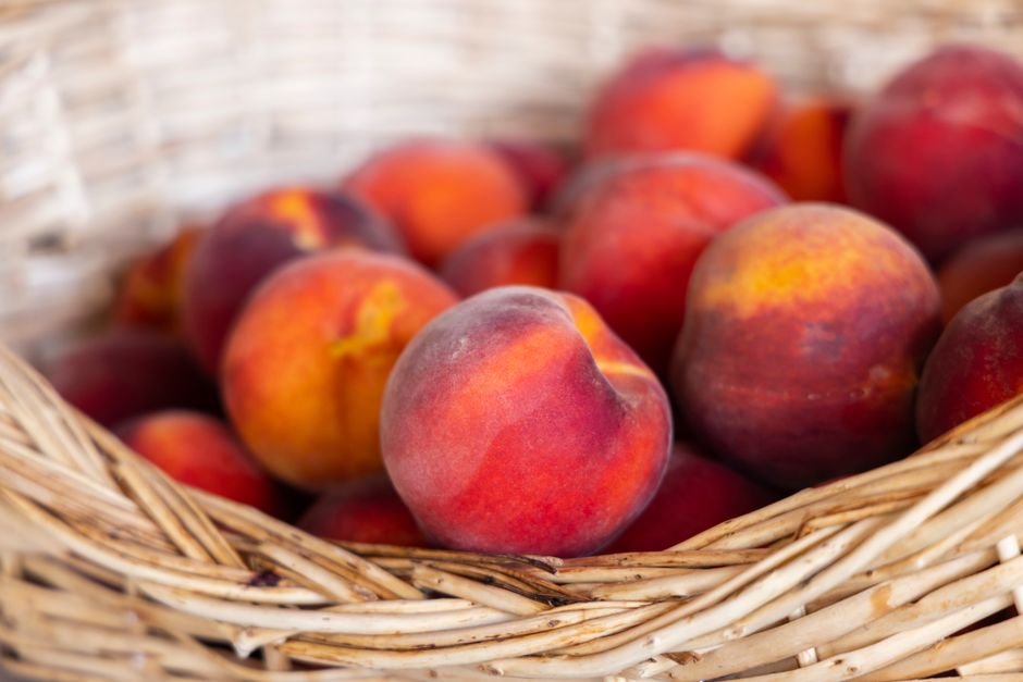Frost basics for peaches