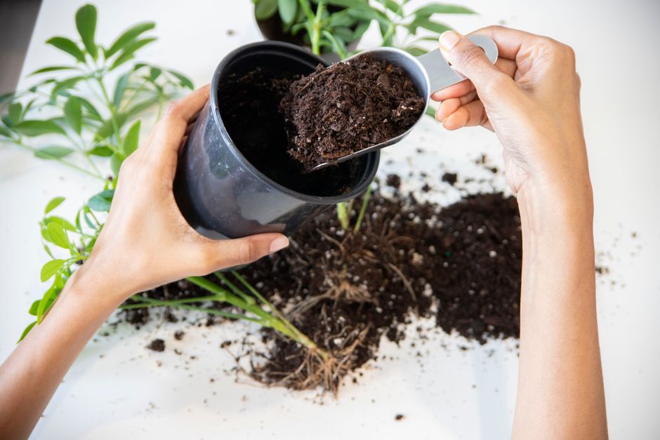 Mix recipes, quantities, and repotting steps