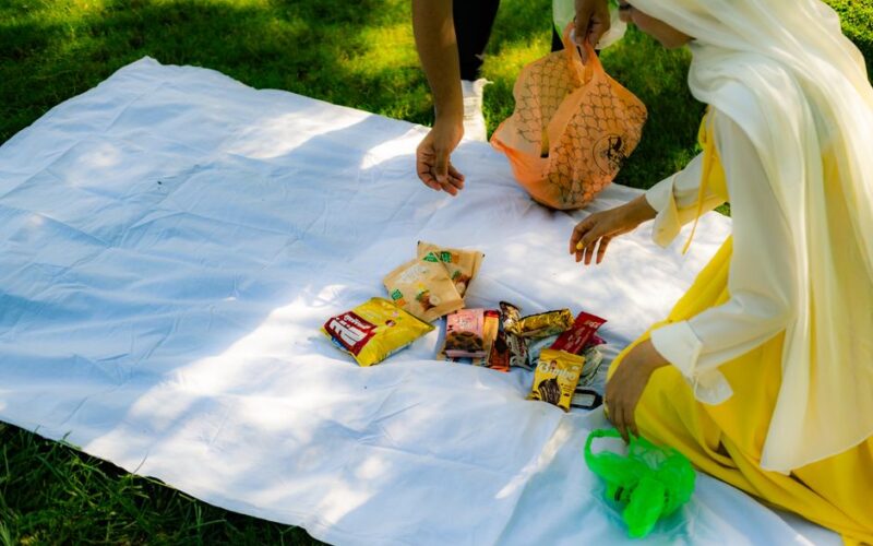 Quick Family Picnic Packing List