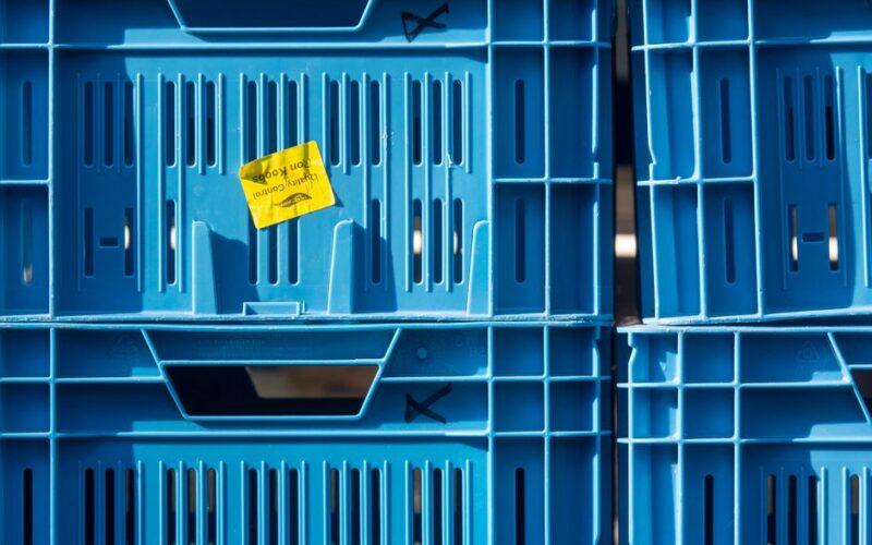 12 Storage Bin Labels the Whole Family Will Follow
