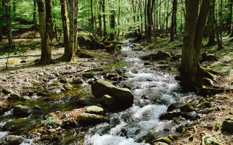 Stream Water Filtering Mistakes to Avoid
