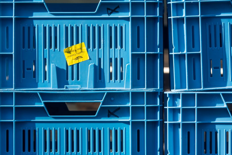 Containers, soil, and light