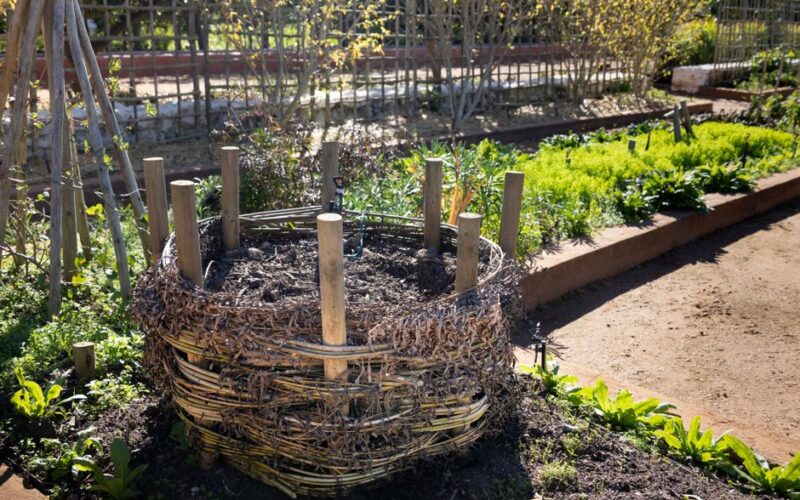 The Complete Guide to Starting a Backyard Compost Bin