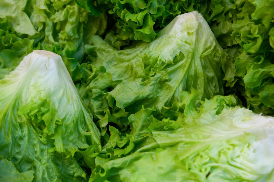 Revive and store greens for crispness