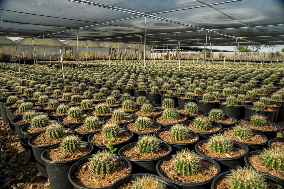 How to automate and structure separate pots