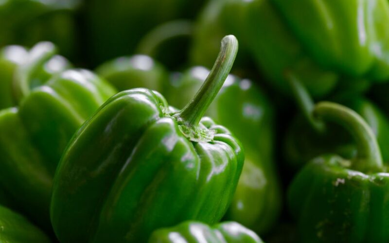 Why Won't My Pepper Plants Ripen? Short-Season Fixes
